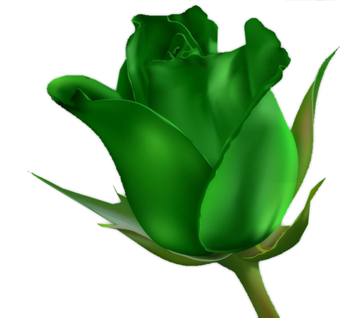 fleur vert